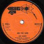 Are You Sure / I Dont Know Why - Dave Barker / The Sensations 