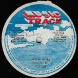 Capture Rasta / Mr Music - Culture