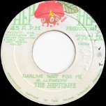 Darling Wait For Me / Ver - The Heptones