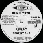 Destiny / Destiny Dub / Destination Afrika / Destination Reach - Special A / Mixman