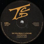 Do You Really Love Me / Love Me - Lloyd Hemmings / Rhythm Section