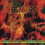 Dub Fire Blazing - Bush Chemists