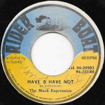 Have And Have Not / Have Dub Will Travel - The Black Expression