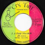 I A Field Marshall / Dub To Africa - Peter Broggs / Cry Tuff And The Orginals