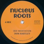 Irie Meditation / Meditation Dub - Don Hartley