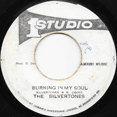 Burning In My Soul / Burning Ver - The Silvertones