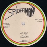 Mr Sea / Pt 2 - The Tamlins