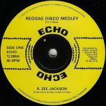 Reggae Disco Medley / Love Another Love - R Zee Jackson / Leroy Brown
