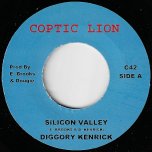 Silicon Valley / Dub - Diggory Kenrick