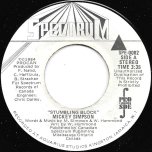 Stumbling Block / Ver - Mickey Simpson