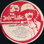 Under Mi Fat Thing / Reggae Music - Mikey Melody / Boogsie Jahmalla