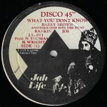 What You Dont Know / Another One Bite The Dust / In Dub - Barry Brown / Ranking Joe / Jah Thomas And Jah Life