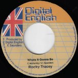 What's It Gonna Be / Dub Wise - Rocky Tracey / Digital English