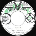 You Lie / Love I Ver - Larry Marshall And The Experience